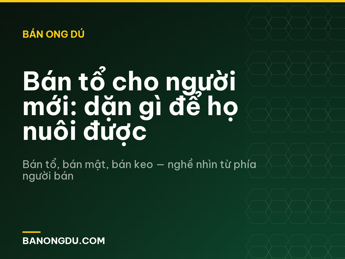 Bán tổ cho người mới: dặn gì để họ nuôi được